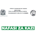 Radiology Job Vacancies at Kwimba District Council 2026