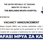 Benjamin Mkapa Hospital (BMH) Vacancies June 2026