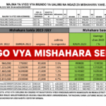 Tanzania Government Salary Scale