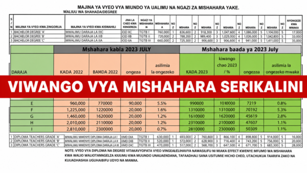 Tanzania Government Salary Scale