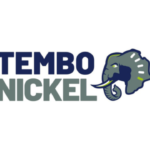Tembo Nickel Mining Manager Job Vacancy 2026 – Apply Now