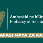 Temporary Properties Management Officer Vacancy at the Embassy of Ireland June 2026
