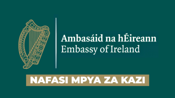 Temporary Properties Management Officer Vacancy at the Embassy of Ireland June 2026