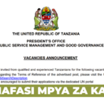 United Nations (UN) International Job Opportunities for Qualified Tanzanians June 2026