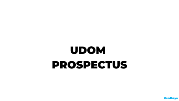 UDOM Prospectus 2026-2027