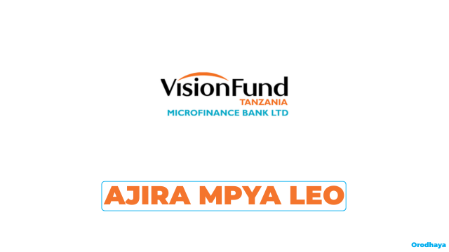 VisionFund Tanzania Vacancies 2026